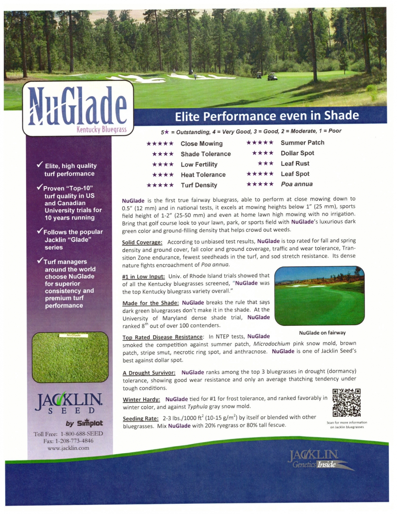 NuGlade Kentucky bluegrass Product Details
